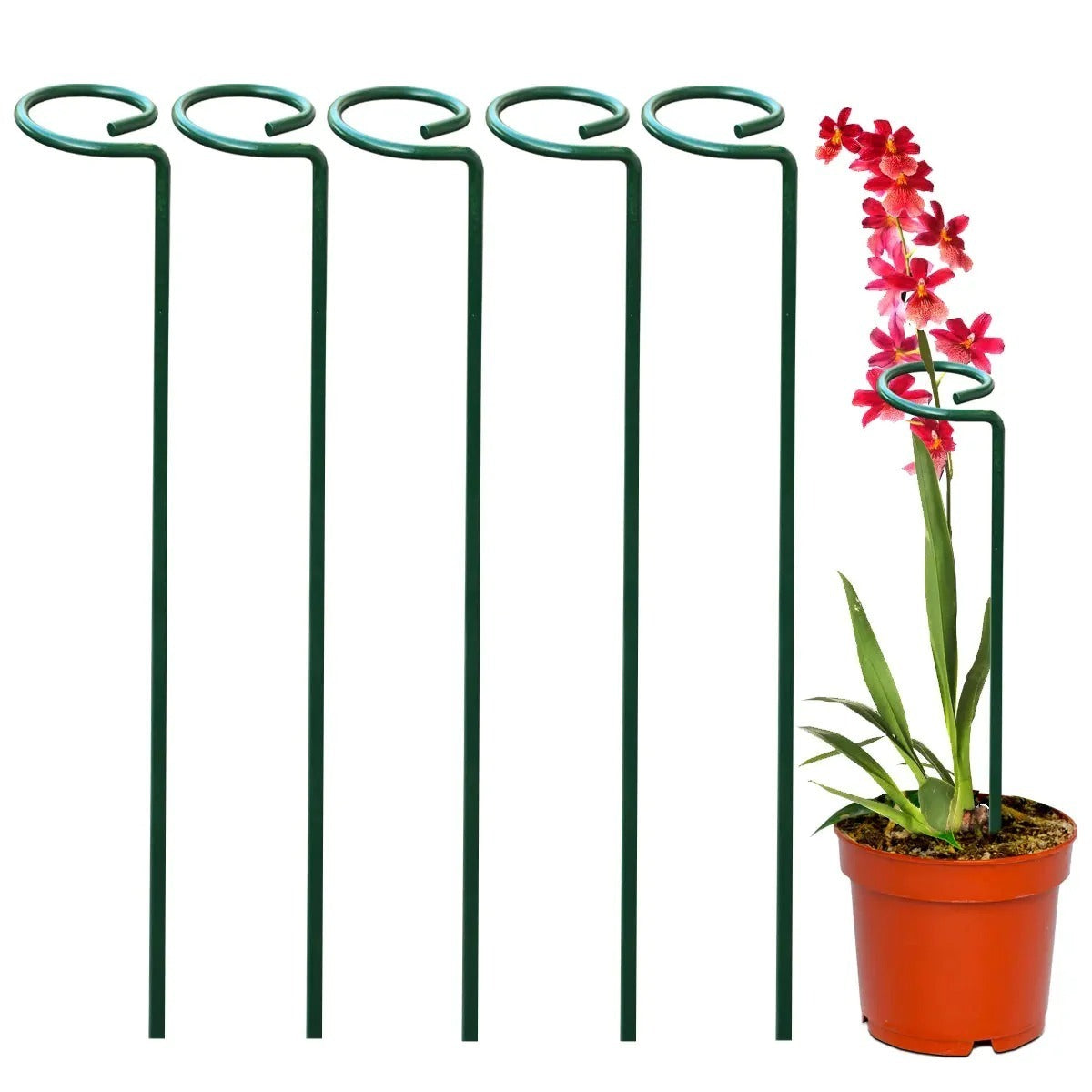 2 pcs Plant Support Stake